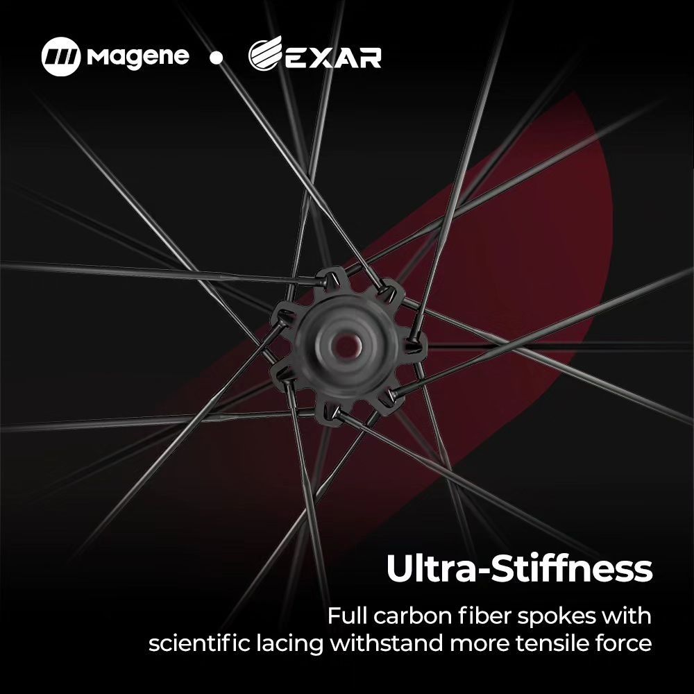 EXAR 5