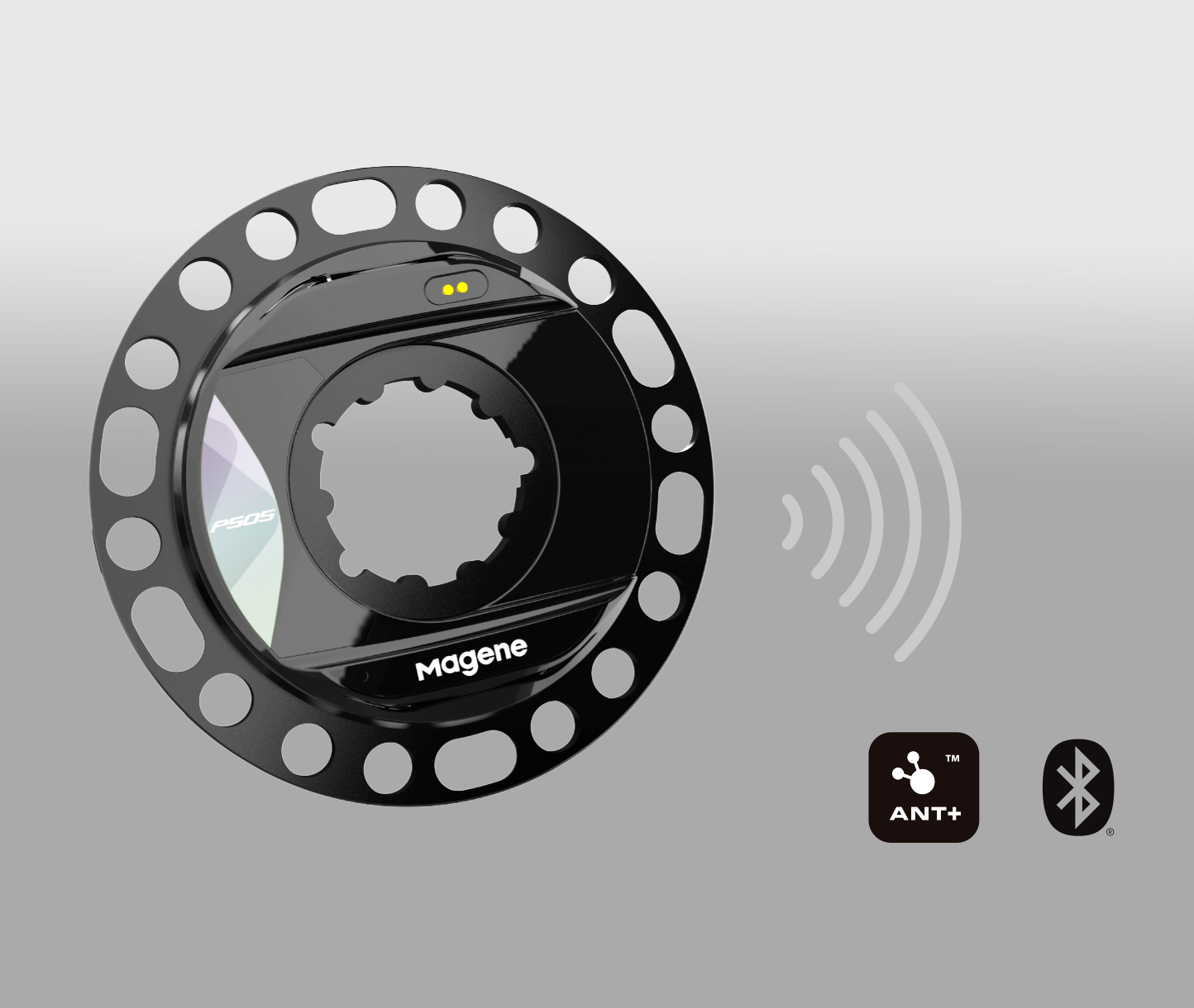 p505_pro5